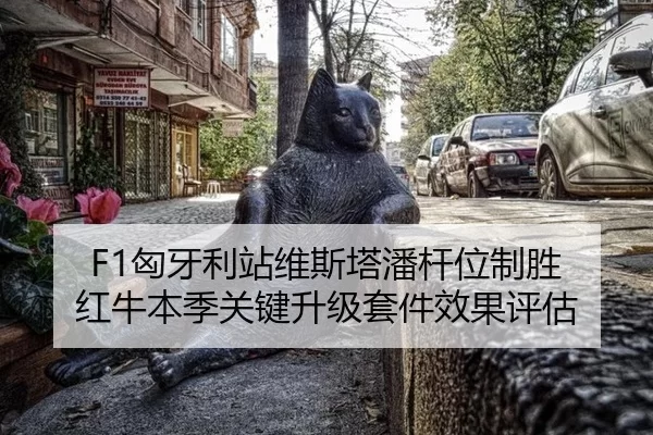 xiong-ya-li-zhan-wei-si-ta-pan-gan-wei-zhi-sheng-hong-niu-ben-ji-guan-jian-sheng-ji-tao-jian-xiao-guo-ping-gu-2-627.jpg