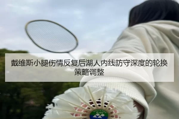 戴维斯小腿伤情反复后湖人内线防守深度的轮换策略调整