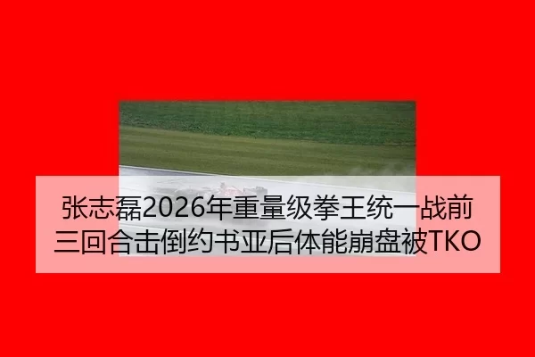 zhang-zhi-lei-nian-zhong-liang-ji-quan-wang-tong-yi-zhan-qian-san-hui-he-ji-dao-yue-shu-ya-hou-ti-neng-beng-pan-bei-2-791.jpg